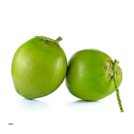 Young COCONUT / CUNUT JUICE / YOUNG NYIOR WATER / COCONUT JUICE