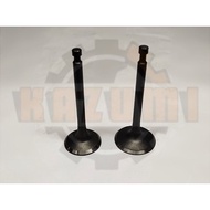 460 192F 18HP Inlet & Exhaust Valve China Gasoline Engine【2pcs/1set】