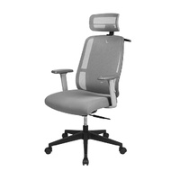 เก้าอี้เพื่อสุขภาพ เฟอร์ราเดค Hana