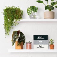 Office Desk Accessories,Office Desk Decor,Office Decorations,Ctrl Alt Del Sign,Office Desk Signs,Fun