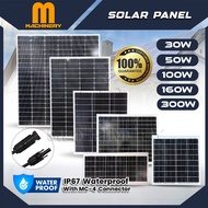 Solar Panel 30W/50W/100W/160W/300W Monocrystalline Silicon Solar Board IP67 Waterproof Papan Solar