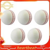 [Hot-Sale] Sports Cricket, Training Cricket, Sports Wind Swing Rebound  Cricket, Elastic Decompressi