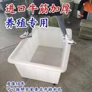 貓大大公司 養殖專用加厚牛筋塑料養魚箱養龜箱賣魚盆魚缸養魚家用大號儲水桶