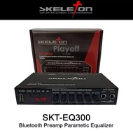 Parametric Equalizer Karaoke Mobil SKELETON