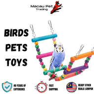 MPT Bird Toys Parrot Toys Sugar Glider Toys Mainan Burung Cockatiel Toys Mainan Burung Sun Conure To