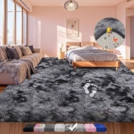 Large Shag Area Rugs 5x7 Feet, Tie-Dyed Plush Fuzzy Rug for Living Room, Ultra Soft Fluffy Furry Rug