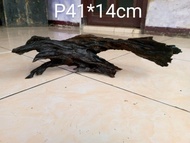 kayu rentek aquascape