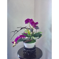 [Hot Selling]Gubahan Bunga orkid Latex Premium 2 Tangkai viral + pasu Seramik Sesuai untuk hiasan meja makan 🌺🌺🌺