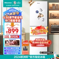 海信（Hisense）冰箱三开门小型 家用电冰箱 216升三门租房用小户型BCD-216YK1F节能省电低噪小巧不占地