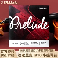 Daddario D'Addario Violin String Set Prelude American String J810 4/4 1/2 3/4