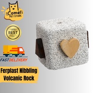 FERPLAST Rodent Volcanic Rock Small Pet Nibbling Toys - Pets Accessories