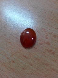 Bacan Obi merah tua