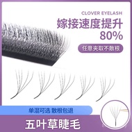 Soft Clover Grafting Thick Mixed Store Four-Leaf Clover Eyelashes Ready Stock Eyelashes yy Pack Supe