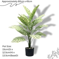 Plant Aglaonema ‘Silver Queen’ 18 Leaves artificial, home decor, events. Aplant759