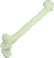 Orthopedic Operation Model Simulation Femur Model Artificial Cortical Bone Cancellous Femur Model fo