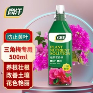 Shang Yang Bougainvillea Special Plant Nutrient Solution500mL Flower Green Plant Hydroponic Flower Fertilizer Home Garde