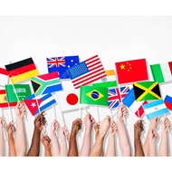 Small Country Flag Hand Flag/ Country Hand Flag