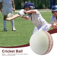 Sports Cricket Training Cricket Sports Wind Swing Rebound Cricket Elastic Decompression Ball