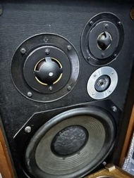 Diatone DS301 古董揚聲器