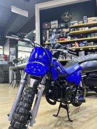 小朋友專用越野車 yamaha pw50 限量一台【YMS永信】