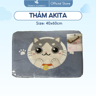 Thảm trải phòng khách phòng ngủ phòng tắm Akita kích cỡ 40x60 đa dạng thiết kế