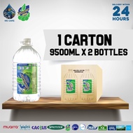 SUMMER Drinking Water (9500ml x 2 Bottles x 1 Carton)