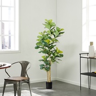 Hotel Indoor Decor Artificial Plant Fiddle Leaf Fig Plastic Plant Artificial Tree 180CM