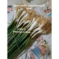 [Benih Lokio aka Bawang Jambak. Readystok. Sayur tradisi yang terkenal di Sabah] -Losun, Bawang Jamb