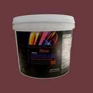 Lean Mass Gainer Av Nutrition