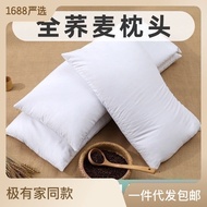 H-66/ Buckwheat Hull Pillow Adult Student Dormitory Hard Pillow Core Elderly Care Buckwheat Pillow Yuan Factory Free Shi