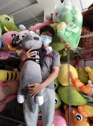 Gấu bông Chó bông husky Mèo bông husky