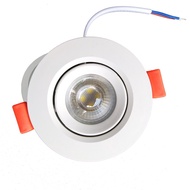 3 / 5 Watt Spotlight Downlight