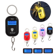 25Kg 5g Backlight Electronic Scale Fishing Weights Pocket Scale Luggage Scales, Portable Mini Hangin