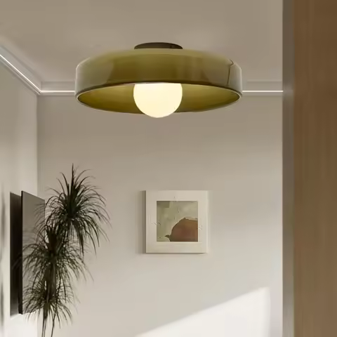 G9 Dia 35cm Ceiling Light Glass Source Room Decor Wall Lamp Bedroom Living Room Interior Home Decora