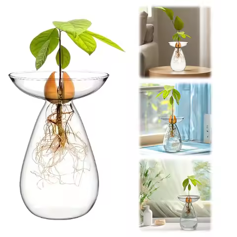 Avocado Hydroponic Vase Transparent Plant Propagation Station Glass Avocado Tree Flower Vase for Gro