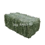 premium imported usa Timothy hay
