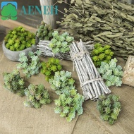 AENEH Mini Artificial Cactus Plant, Plastic Real Touch Artificial Succulent Plant, Green Plant 24 He