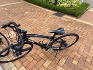 Giant Anyroad 2 Bike