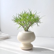 Niche Willow Leaf Emotion Nordic Style Block Root Coffee Table Decompression Table Potted Plant Offi