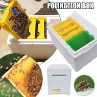 WITTEE Queen Bee Breeding Box, Beekeeping Equipment Foam Bee Hive Box Beekeeper Garden Pollination B