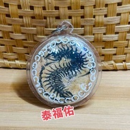 Thai Amulet 泰国佛牌 蜈蚣賓靈護身牌  Centipede Penneng Amulet FB