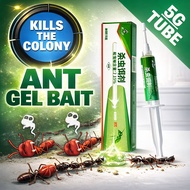SG SELLER Ant Killer Bait Gel Liquid Poison Anti Ants Kill Colony Trap Terro Combat Golden Hammer Po