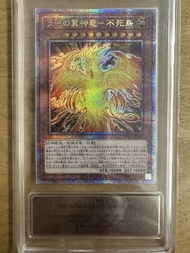 遊戲王卡 翼神龍 不死鳥 QCSER 金鑽 評分卡 評級卡 鑑定卡 10分