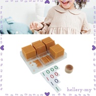[HelleryMY] Math Beads Decimal System Montessori Set Educational Learning Toys for Kids Math Teachin
