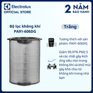 Bộ lọc không khí Electrolux PA91-606DG Giảm 9997% PM2.5 và các chất gây kích ứng siêu mịn trong khôn