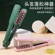 Hair Iron ZML9