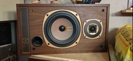 TANNOY M20 天朗