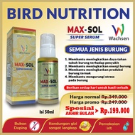 MAX - SOL Suplemen Vitamin Protein Semua Jenis Burung Murai Pleci Lovebird Kenari Cucak Ijo Jalak