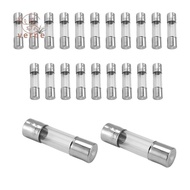 20 x 250 V 2A F2AL Quick F link Glass tube fuse 5 mm x 20 mm