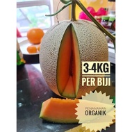 2 Biji Rock Melon 6-8kg / Buah Rock Melon / Rock Melon Organik / Fresh Food / Fresh Fruits / Fruits / Organic Food